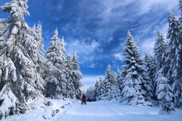 Passe Montagne Ski